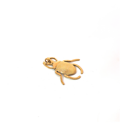 Goude grote kever bedel