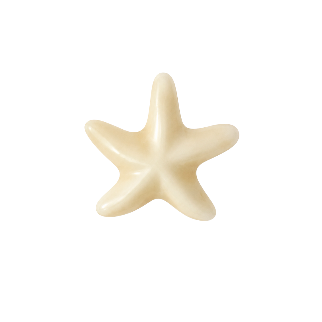 Ster schelp