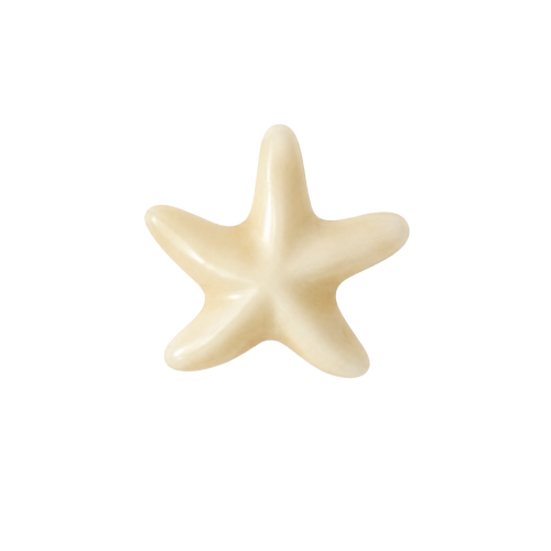 Ster schelp