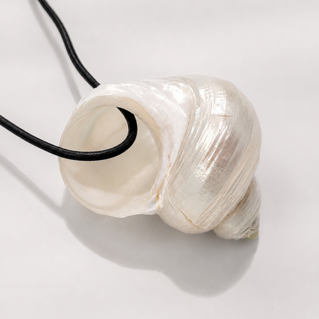 Zwarte koord ketting met statement schelp The Beach Club