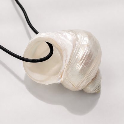 Zwarte koord ketting met statement schelp The Beach Club