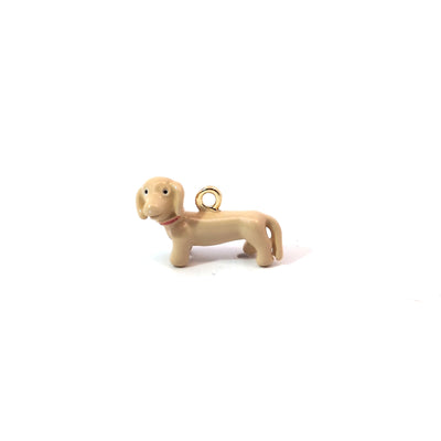 Blonde teckel hond bedel