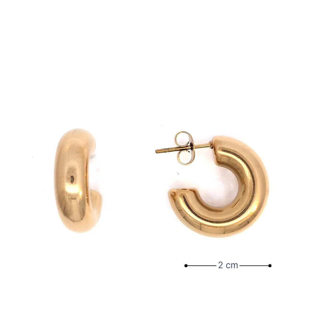 Gouden chunky oorringen van 2 cm met glanzende afwerking afmeting