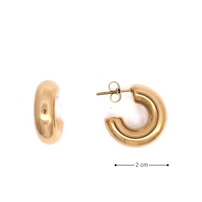 Gouden chunky oorringen van 2 cm met glanzende afwerking afmeting