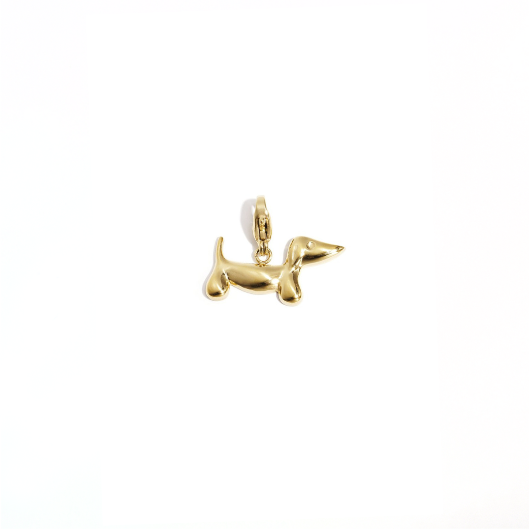 Gouden chunky teckel hond bedel met glanzende afwerking