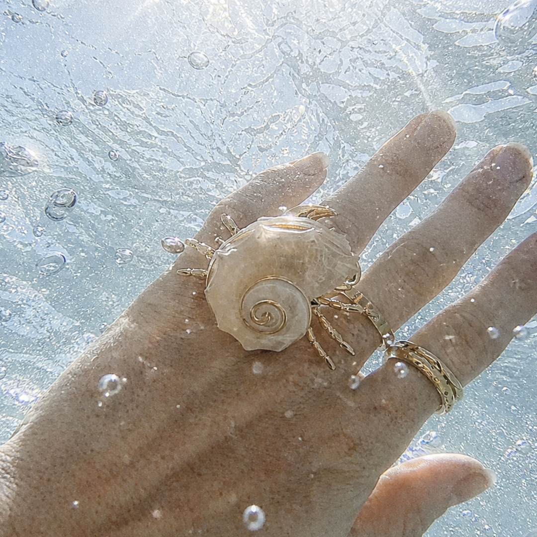 Hand van model draagt Gouden statement ring met hermietkreeft en natuurlijke schelp uit de The Beach Club collectie.