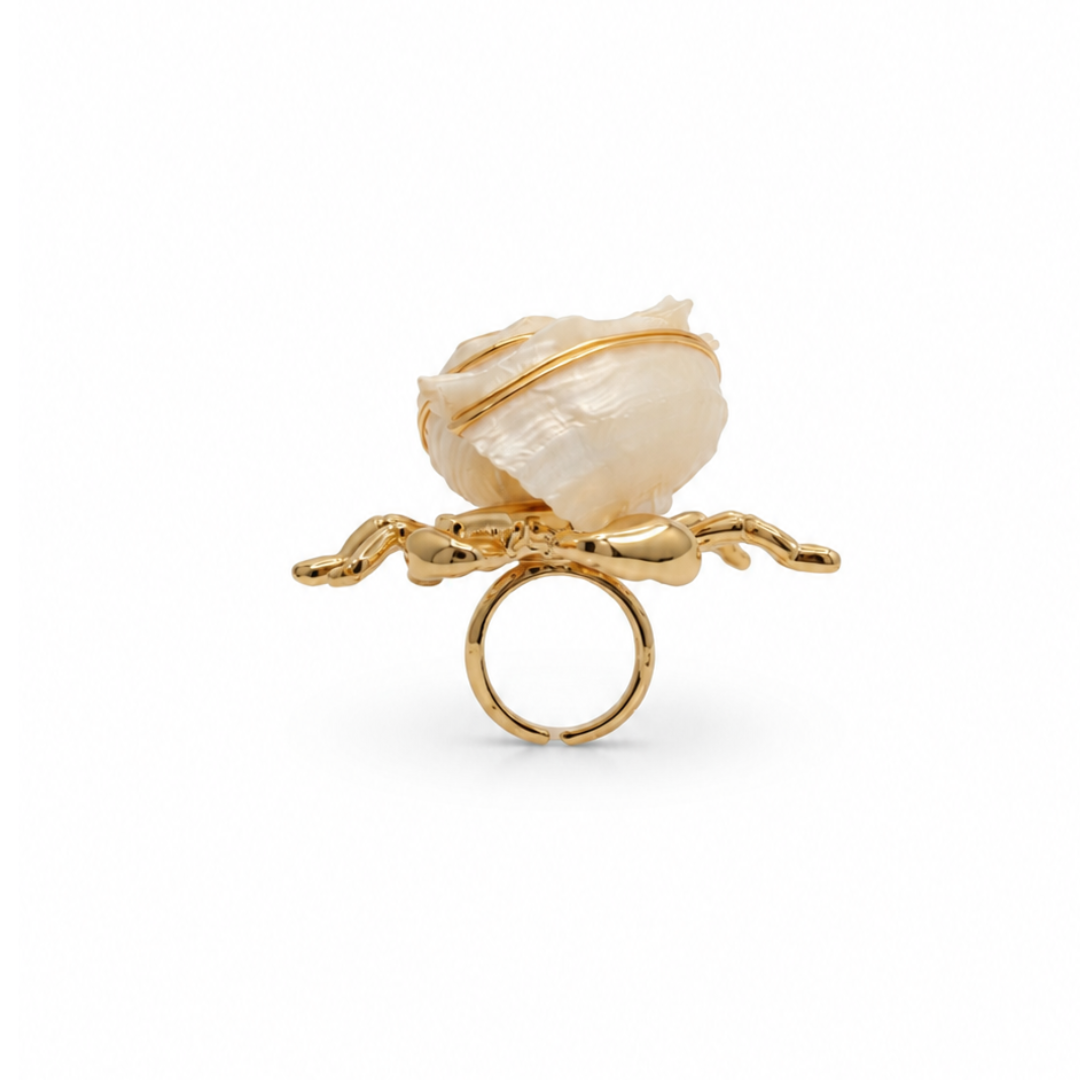 Gouden statement ring met hermietkreeft en natuurlijke schelp uit de The Beach Club collectie. Zijkant