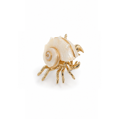 Gouden statement ring met hermietkreeft en natuurlijke schelp uit de The Beach Club collectie.