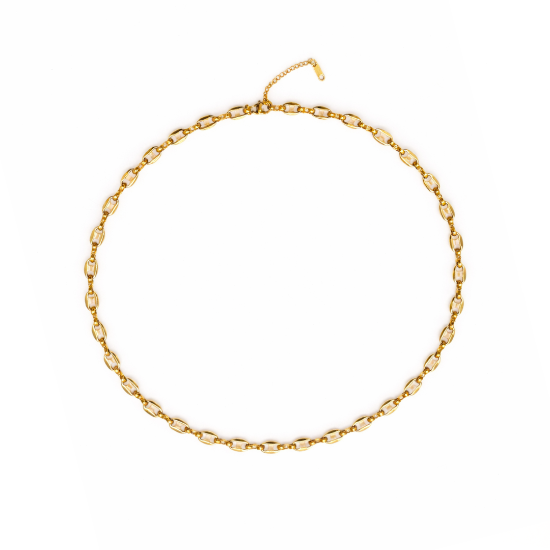 Gouden varkensneus schakelketting met luxe schakels