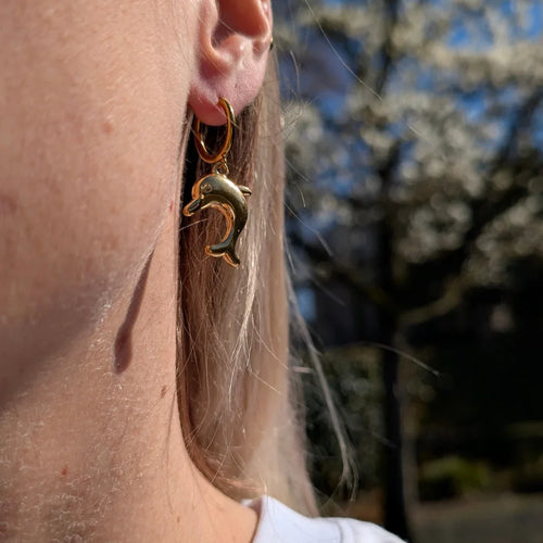 Gouden oorringetjes met dolfijntje