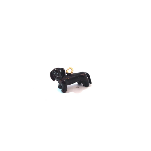 Zwarte teckel hond bedel