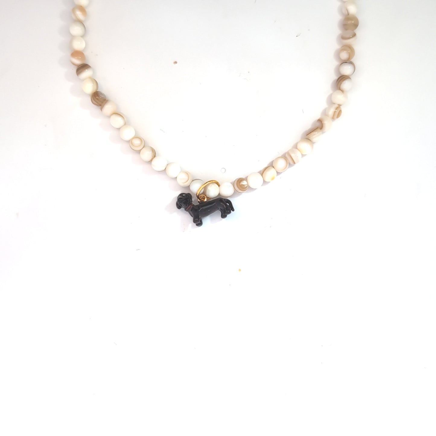 Zwarte teckel hond bedel gedragen aan kralenketting, Jadel style look